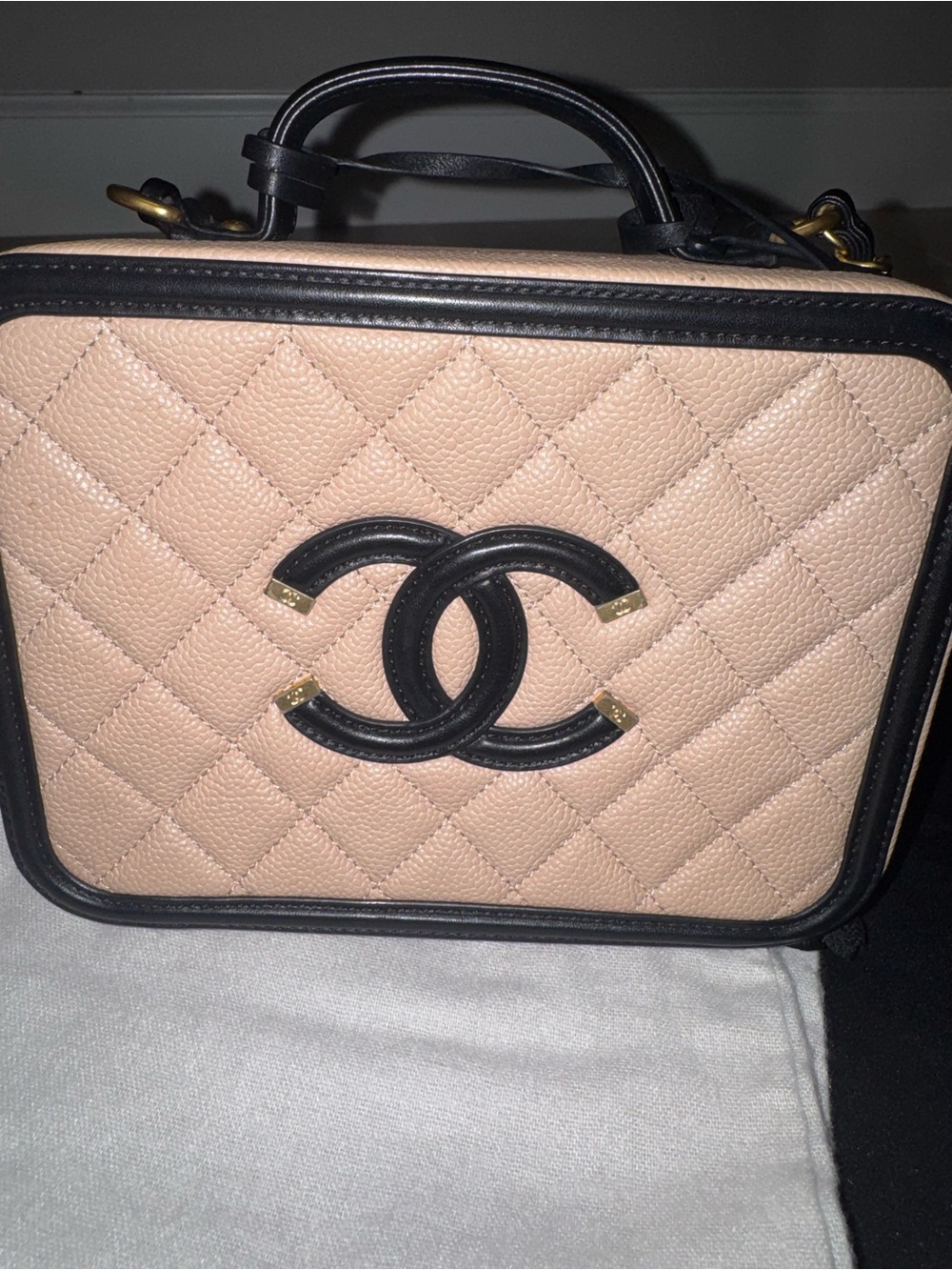 CHANEL Medium Quilted Vanity Crossbody Bag with Gold Hardware - Picture 7 of 11